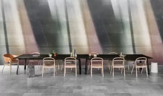 Perspective